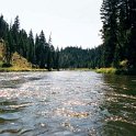 USA ID PayetteRiver 2000AUG19 CarbartonRun 012 : 2000, 2000 - 1st Annual River Float, Americas, August, Carbarton Run, Date, Employment, Idaho, Micron Technology Inc, Month, North America, Payette River, Places, Trips, USA, Year